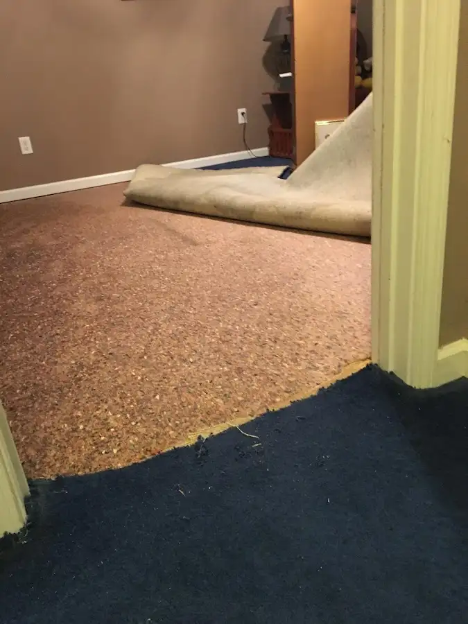Carpet pad removal revealing water damage during Drying & Dehumidification in Murray