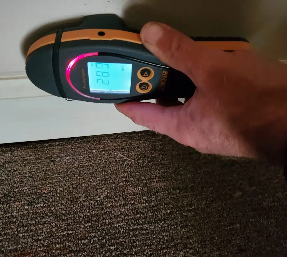 Moisture detection at baseboard during Mold Inspection & Testing in Murray
